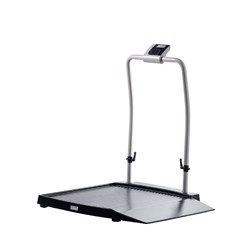 Healthweigh Wheelchair Scale, Single Ramp and Handrail