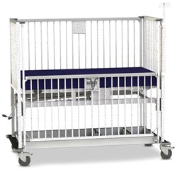 Standard Cot - Fixed Height