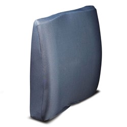 Apollo Back Support - Standard