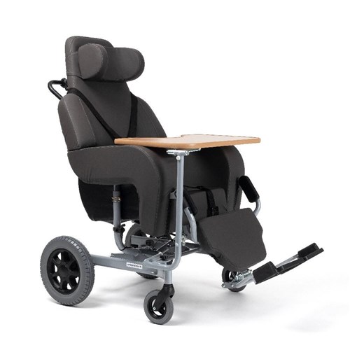 Coraille Shell Chair - 480mm Width