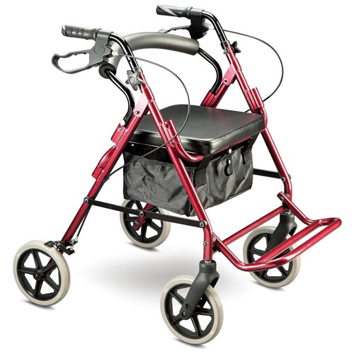 Trekker Duo Walker