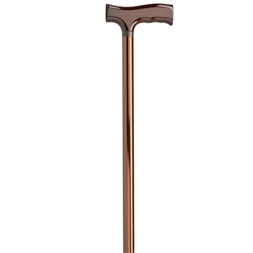 Walking Stick - Bronze with Timber Handle