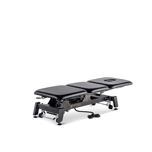 Stability 3 Section Treatment Table
