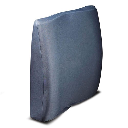 Apollo Back Support - Standard